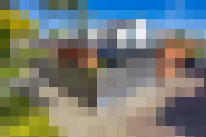 Hordijkhof 2 Honselersdijk thumbnail 46