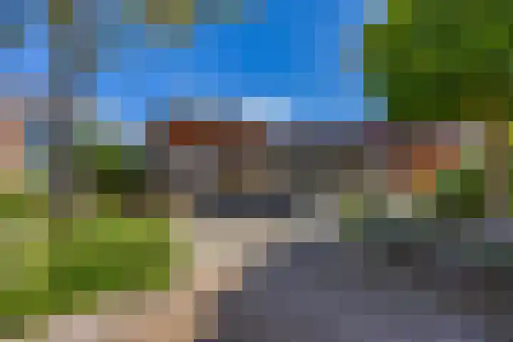 Hordijkhof 2 Honselersdijk thumbnail 48