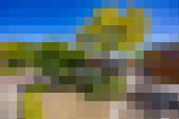 Hordijkhof 2 Honselersdijk thumbnail 50