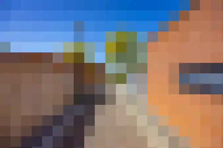 Hordijkhof 2 Honselersdijk thumbnail 51
