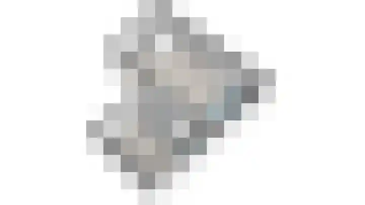 Hordijkhof 2 Honselersdijk thumbnail 56