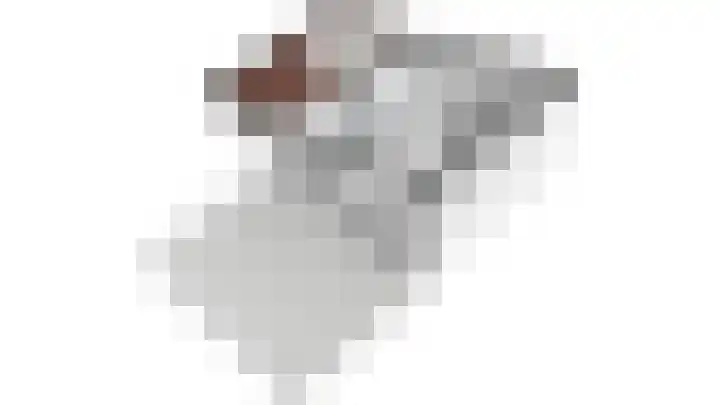 Hordijkhof 2 Honselersdijk thumbnail 58