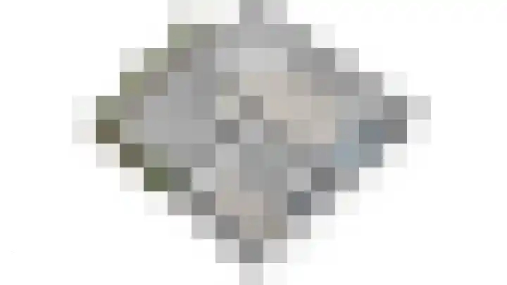 Hordijkhof 2 Honselersdijk thumbnail 60