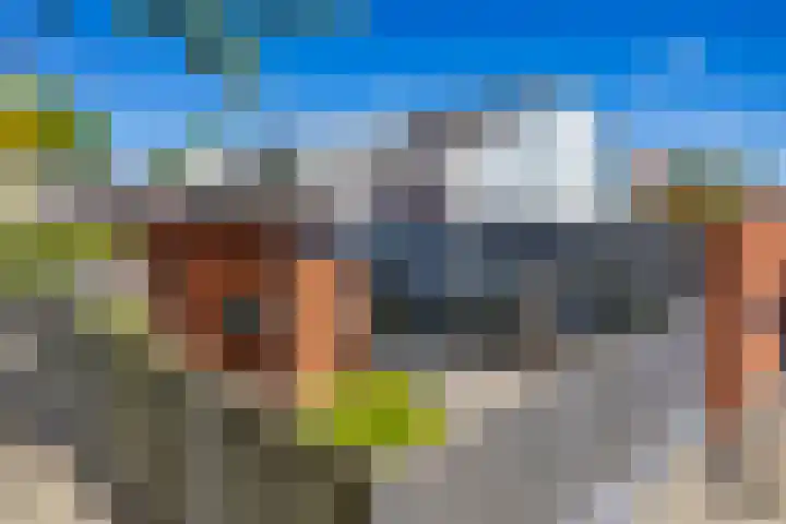 Hordijkhof 2 Honselersdijk thumbnail 61