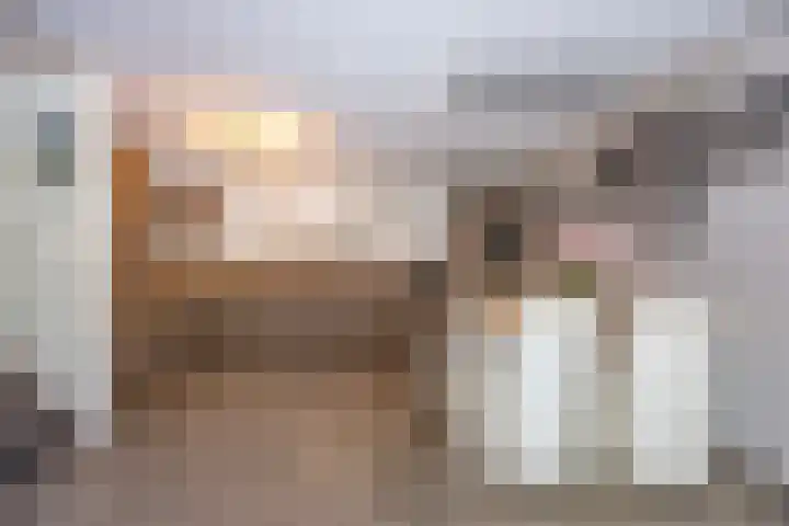Hordijkhof 2 Honselersdijk thumbnail 8
