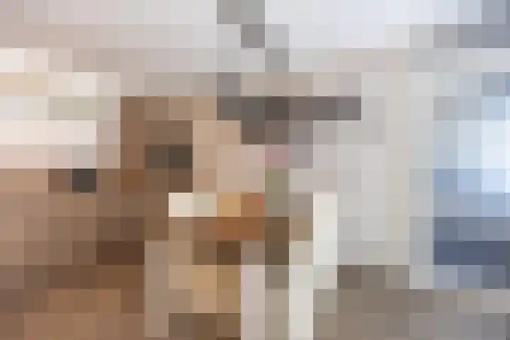 Hordijkhof 2 Honselersdijk thumbnail 9
