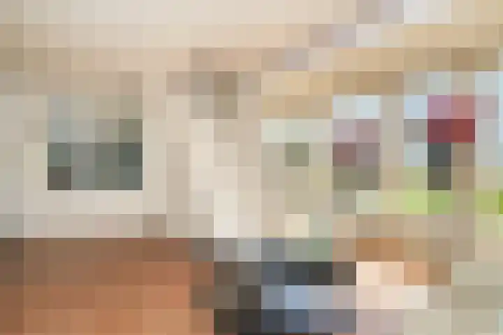 Horenkamp 19 Ammerzoden thumbnail 11