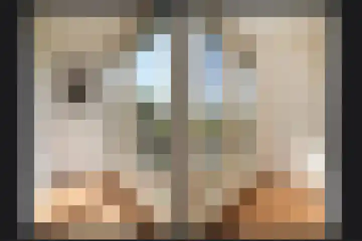 Horenkamp 19 Ammerzoden thumbnail 13