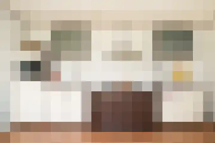 Horenkamp 19 Ammerzoden thumbnail 15