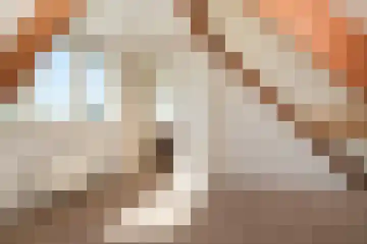 Horenkamp 19 Ammerzoden thumbnail 19