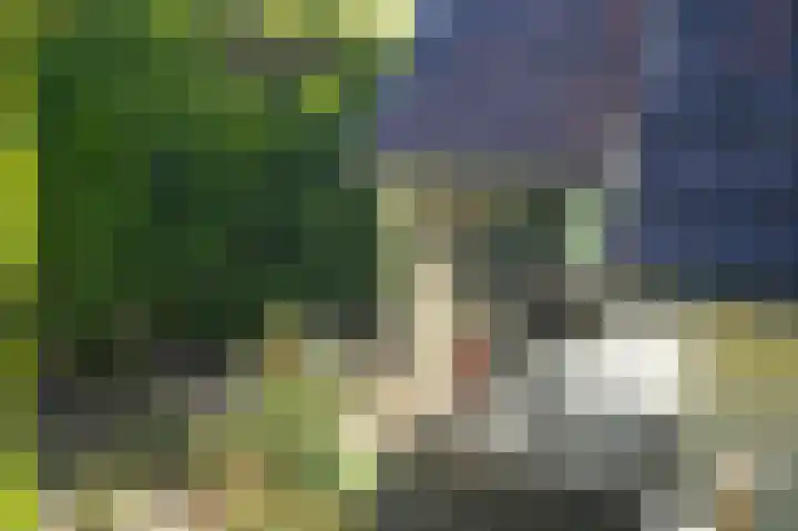 Horenkamp 19 Ammerzoden thumbnail 24