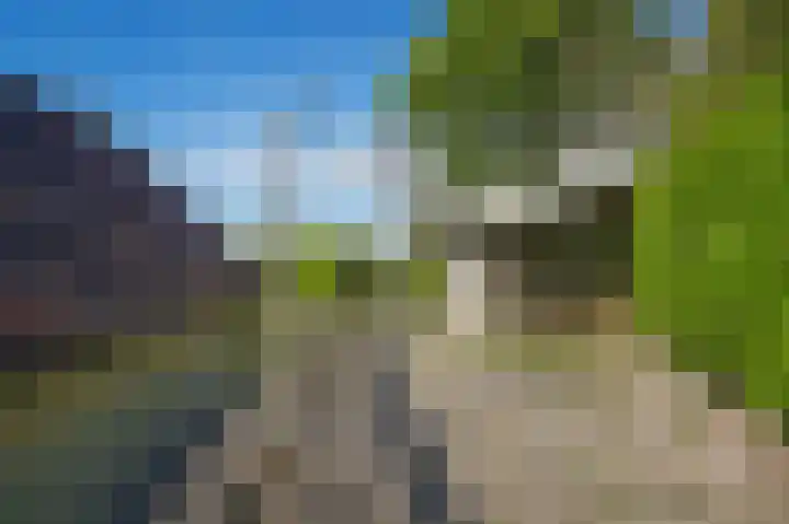 Horenkamp 19 Ammerzoden thumbnail 25