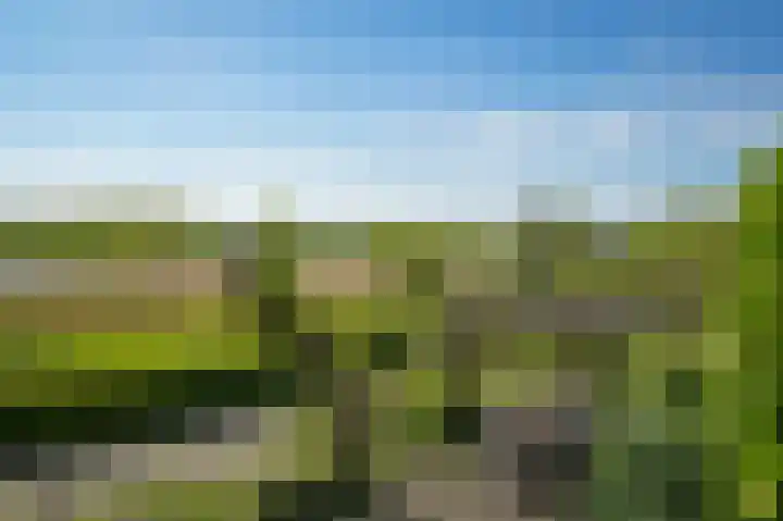 Horenkamp 19 Ammerzoden thumbnail 28