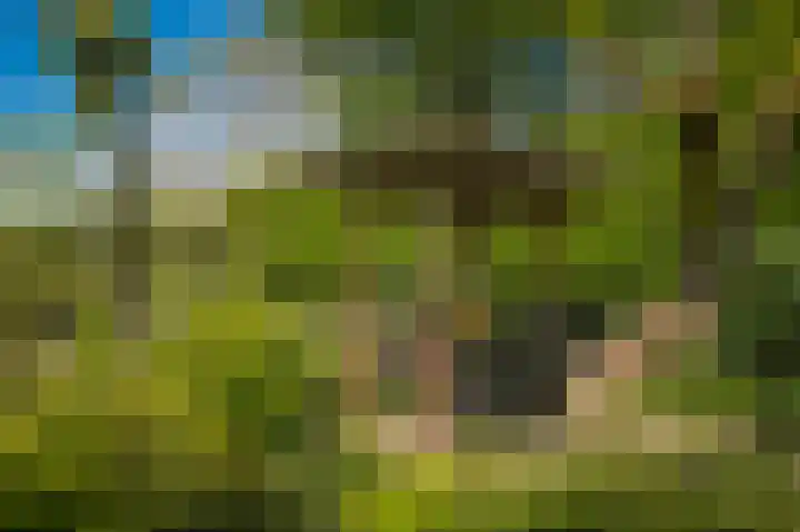 Horenkamp 19 Ammerzoden thumbnail 29
