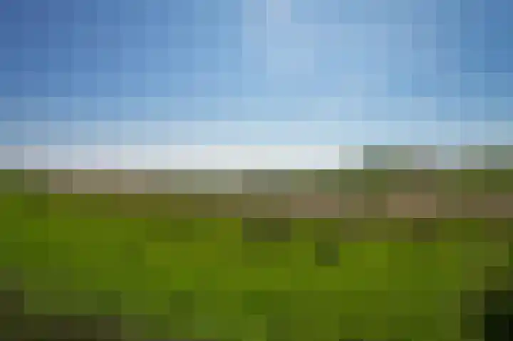 Horenkamp 19 Ammerzoden thumbnail 30