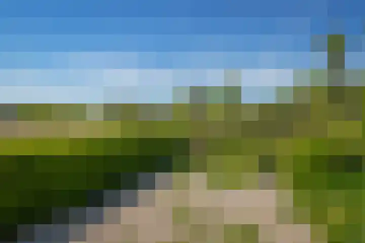 Horenkamp 19 Ammerzoden thumbnail 31