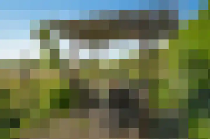 Horenkamp 19 Ammerzoden thumbnail 32