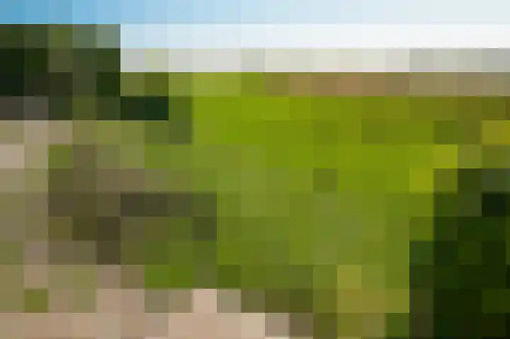 Horenkamp 19 Ammerzoden thumbnail 33