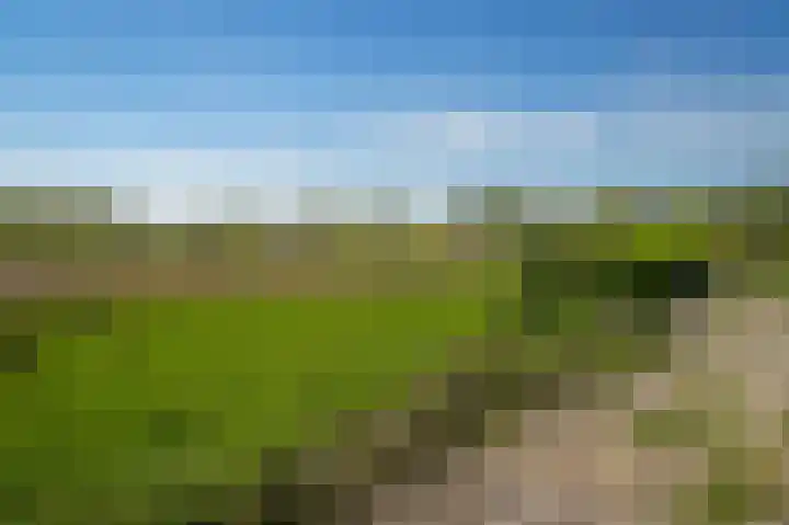 Horenkamp 19 Ammerzoden thumbnail 34