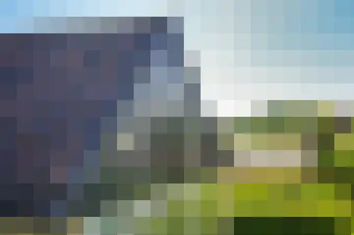 Horenkamp 19 Ammerzoden thumbnail 37