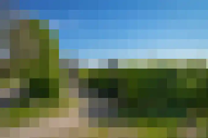Horenkamp 19 Ammerzoden thumbnail 39