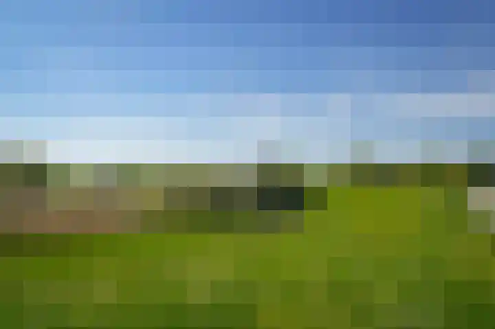 Horenkamp 19 Ammerzoden thumbnail 40