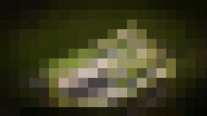 Horenkamp 19 Ammerzoden thumbnail 43