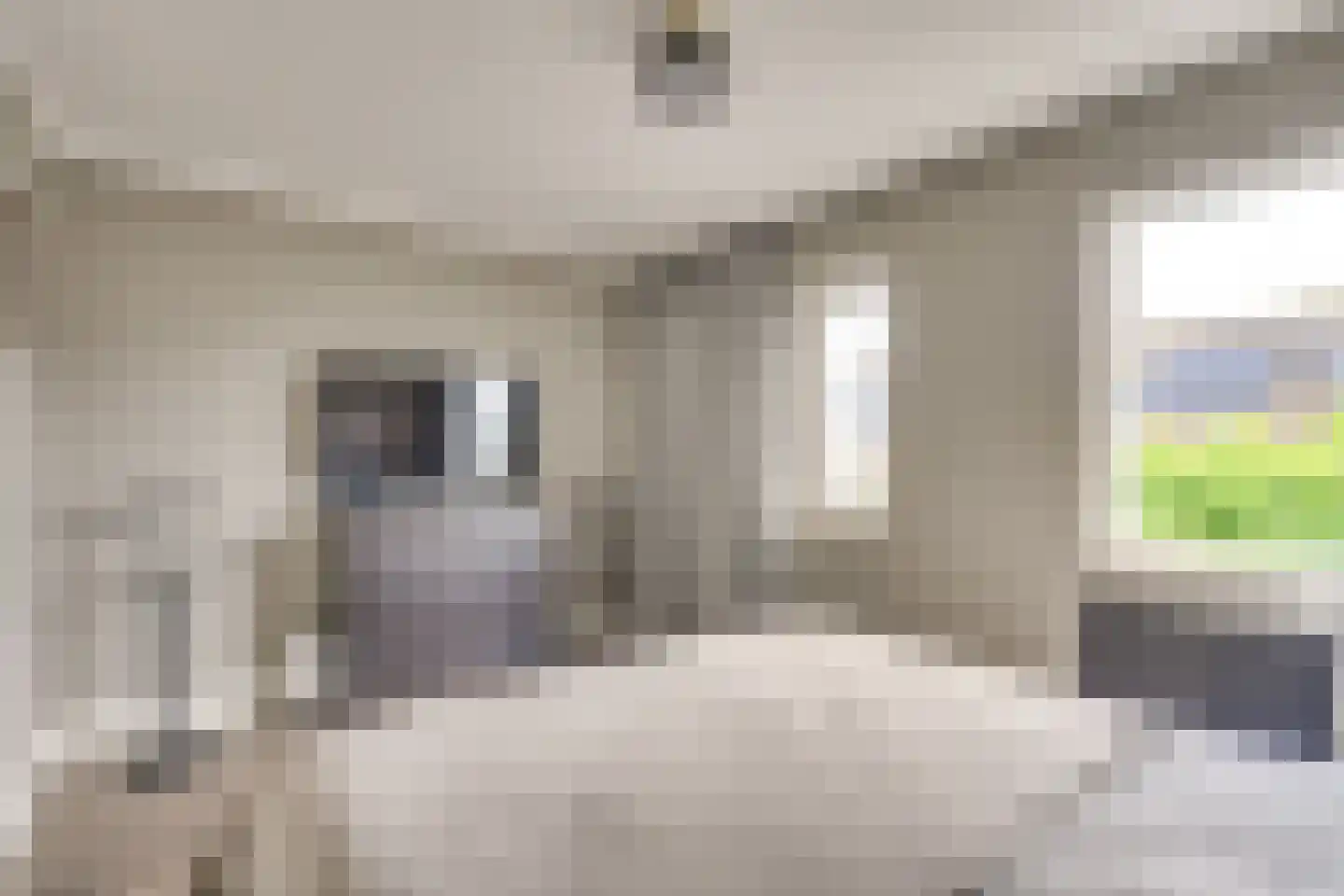 Horgetouw 14 Uden thumbnail 14