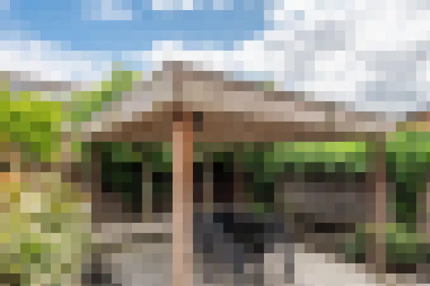 Horgetouw 14 Uden thumbnail 20