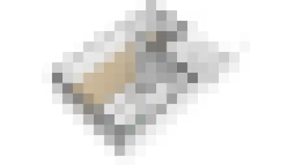 Horgetouw 14 Uden thumbnail 23