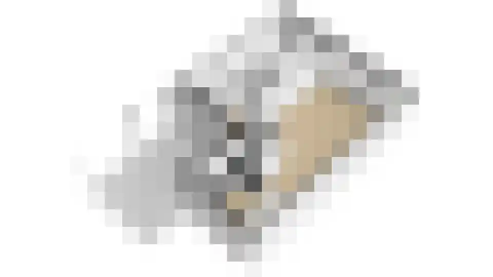 Horgetouw 14 Uden thumbnail 24
