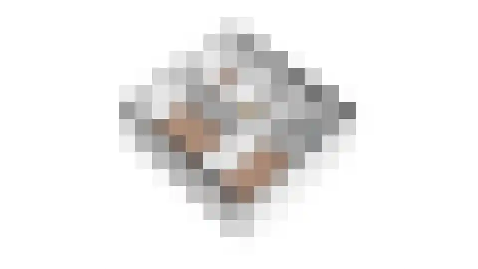 Horgetouw 14 Uden thumbnail 26
