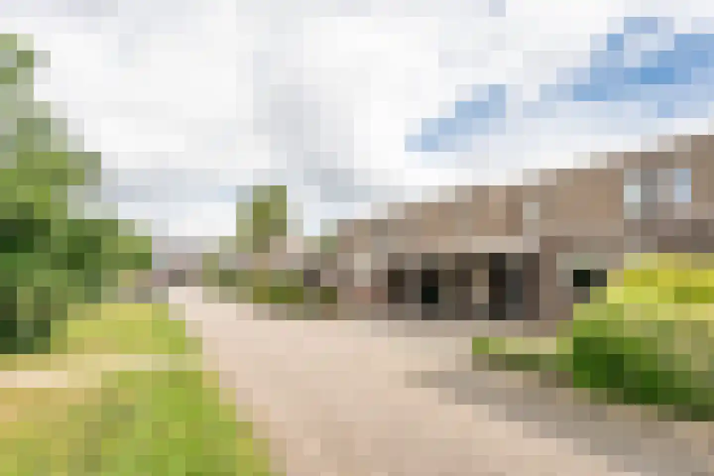 Horgetouw 14 Uden thumbnail 4