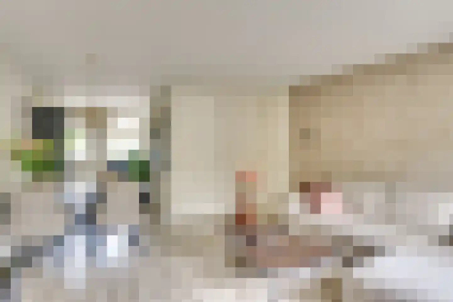 Horgetouw 14 Uden thumbnail 6