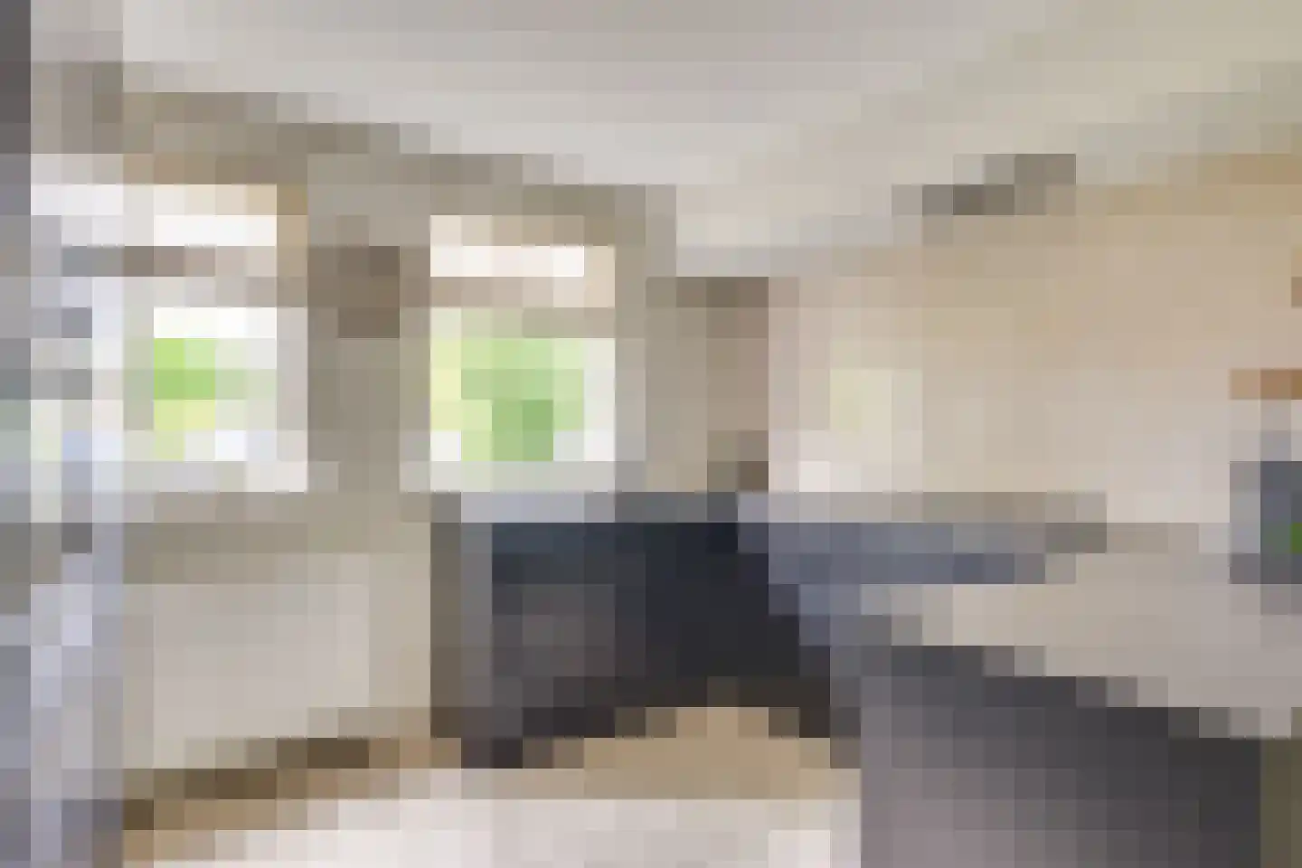 Horgetouw 14 Uden thumbnail 9