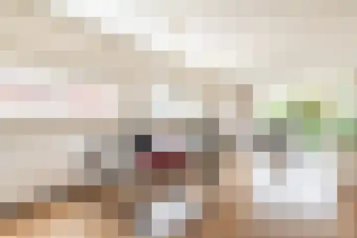 Horigenland 22 Houten thumbnail 10
