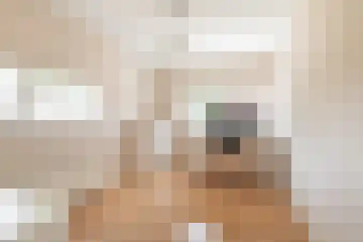 Horigenland 22 Houten thumbnail 15