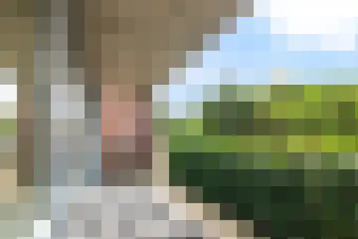 Horigenland 22 Houten thumbnail 21