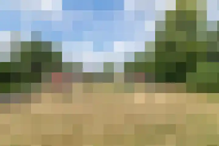 Horigenland 22 Houten thumbnail 23