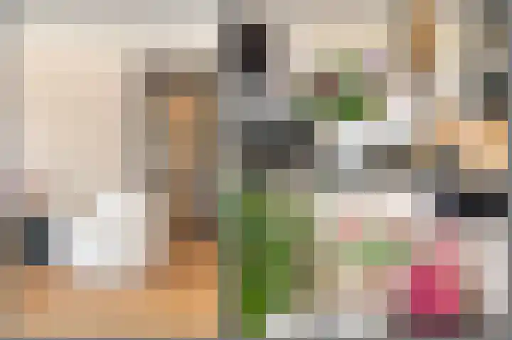 Horigenland 22 Houten thumbnail 8