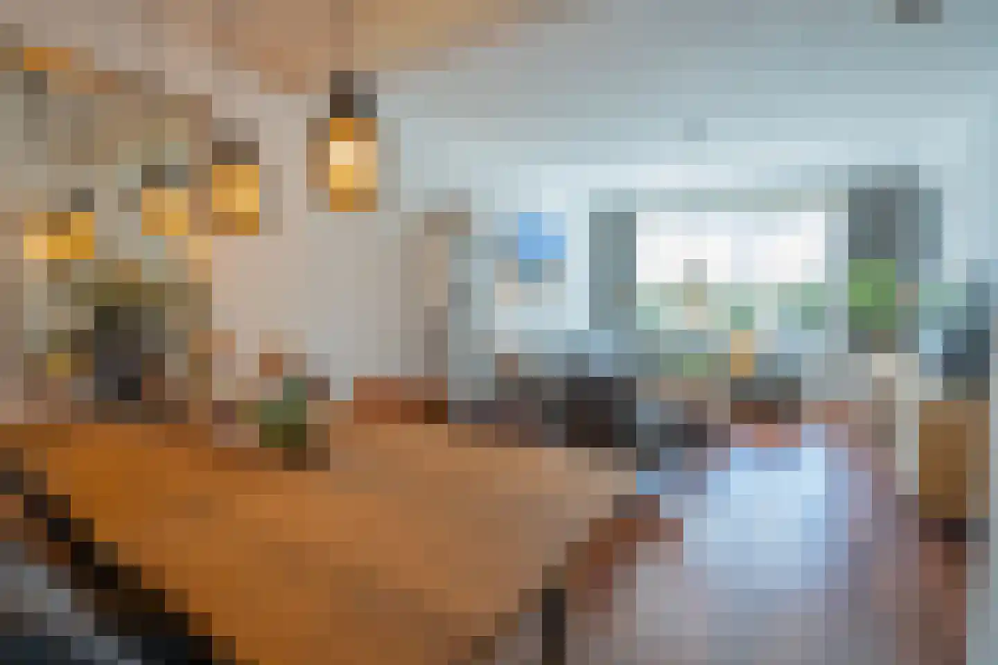 Horionstraat 4 Heythuysen thumbnail 16