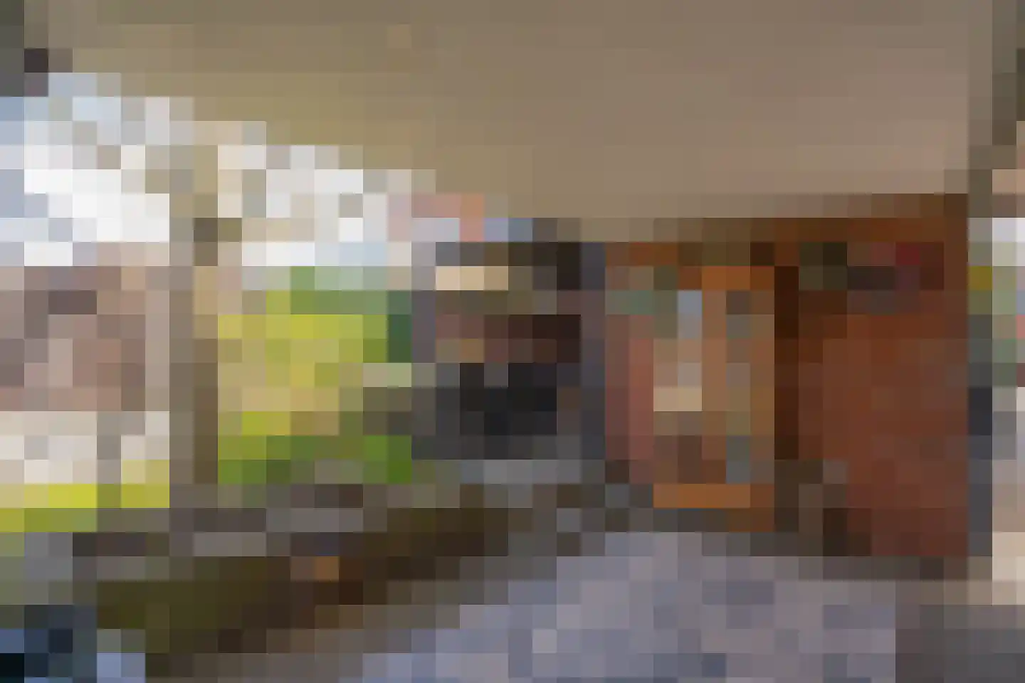 Horionstraat 4 Heythuysen thumbnail 48