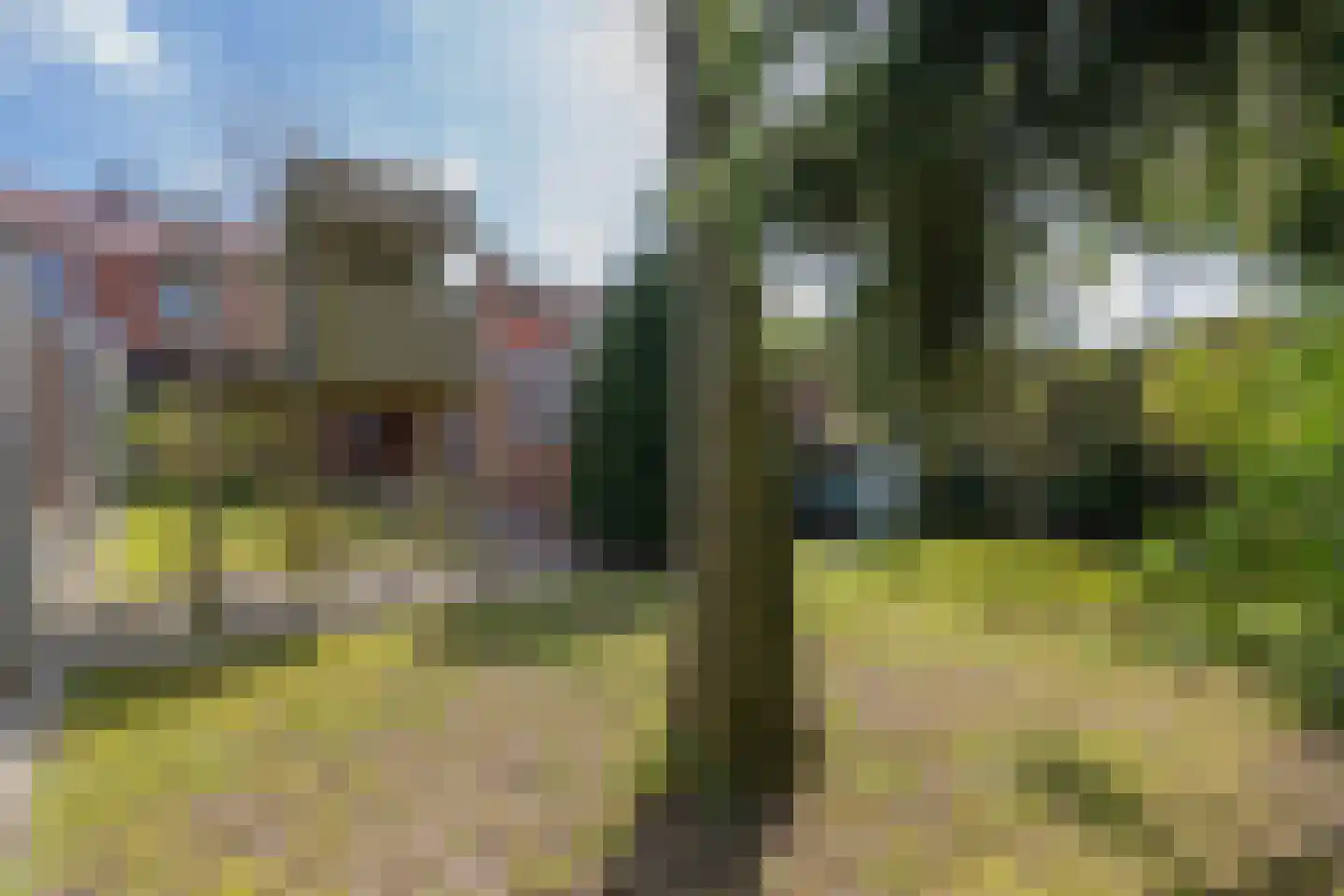 Horionstraat 4 Heythuysen thumbnail 50