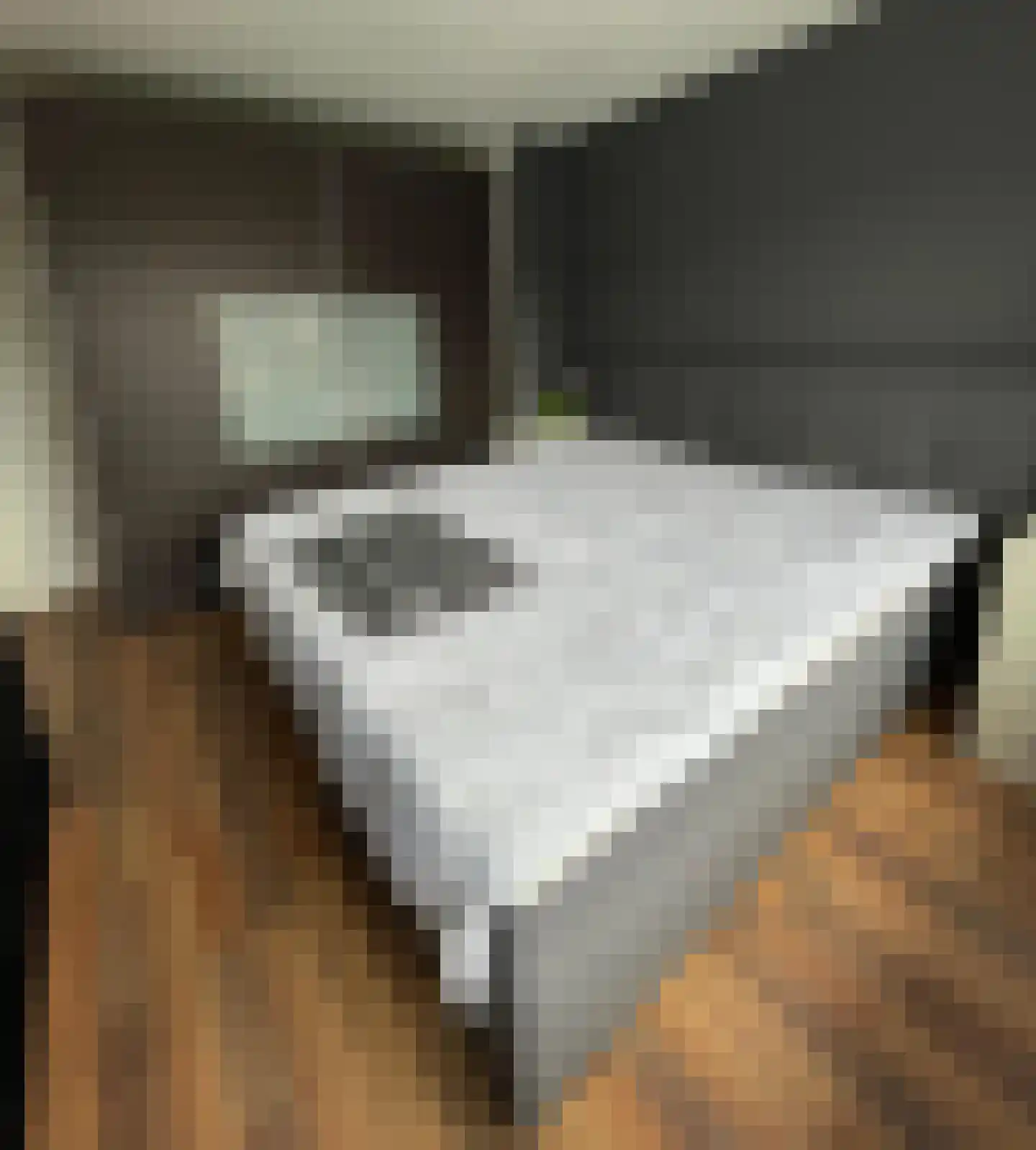 Horionstraat 8 Wessem thumbnail 10