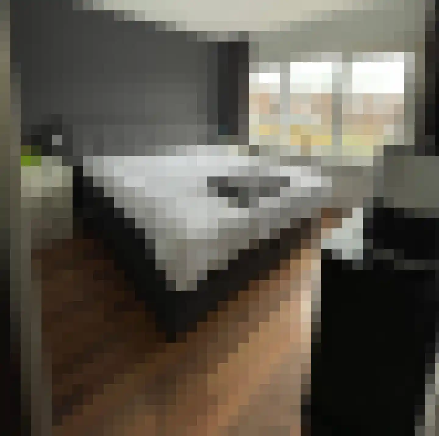 Horionstraat 8 Wessem thumbnail 11