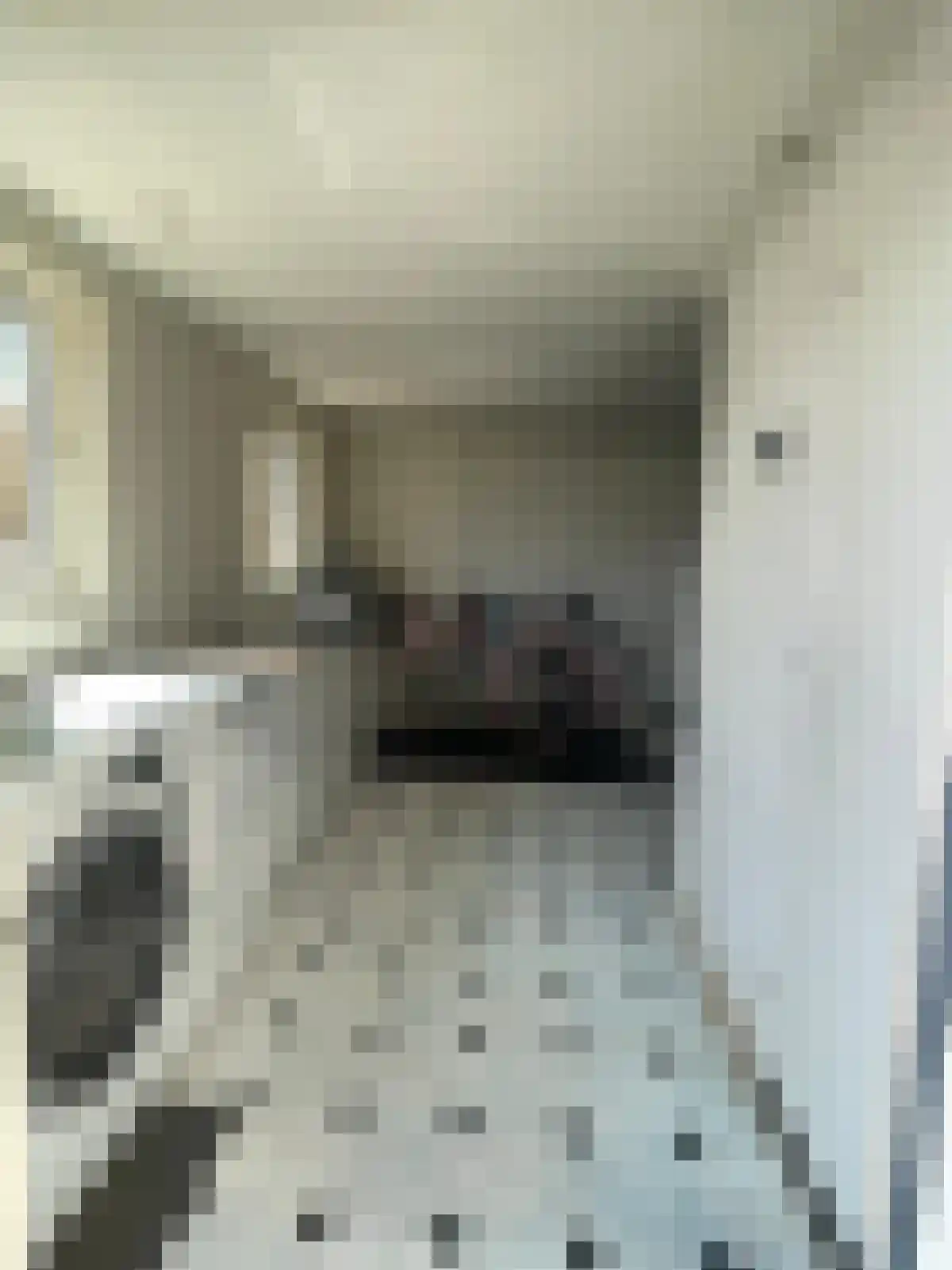 Horionstraat 8 Wessem thumbnail 15