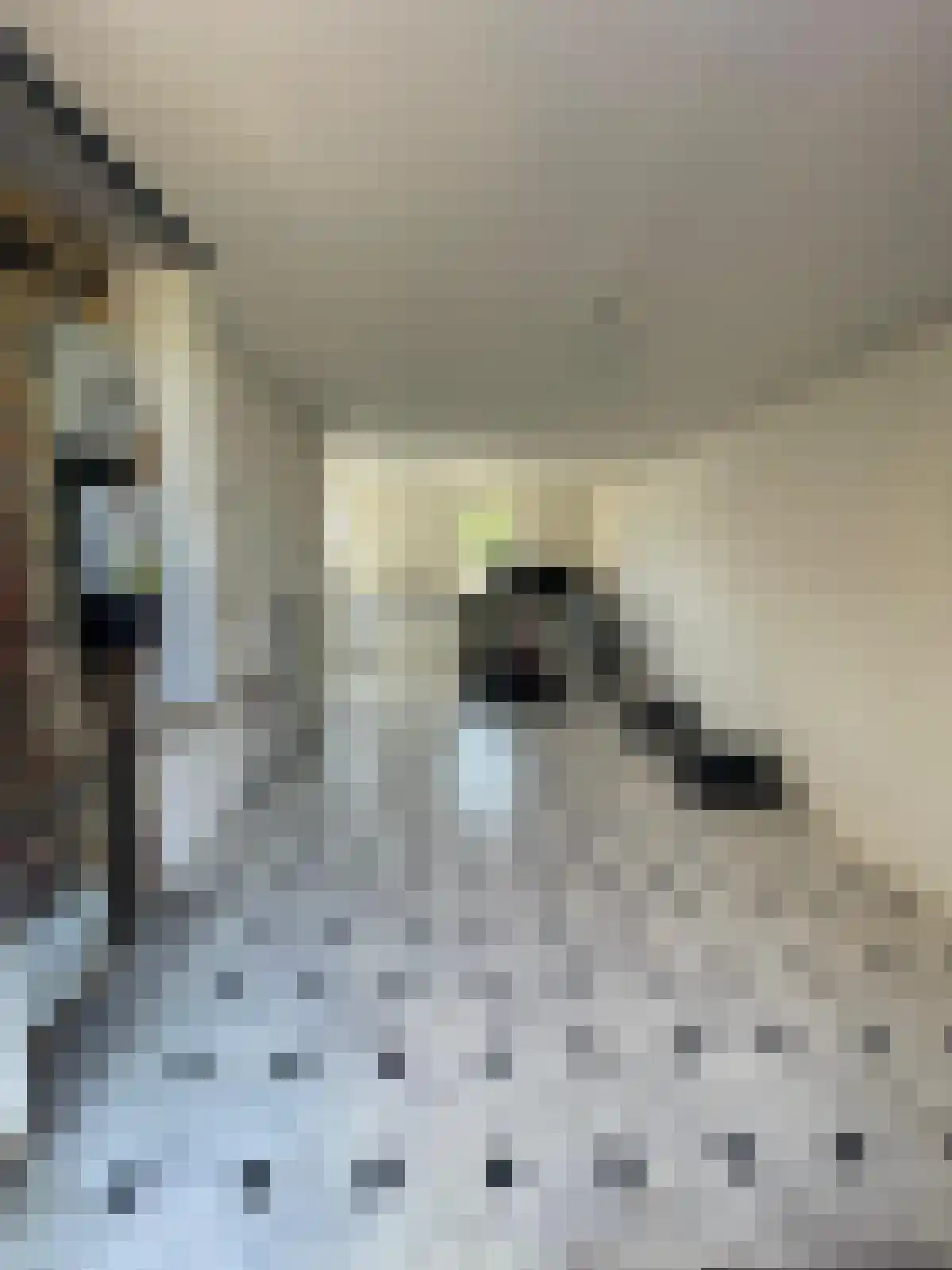 Horionstraat 8 Wessem thumbnail 16