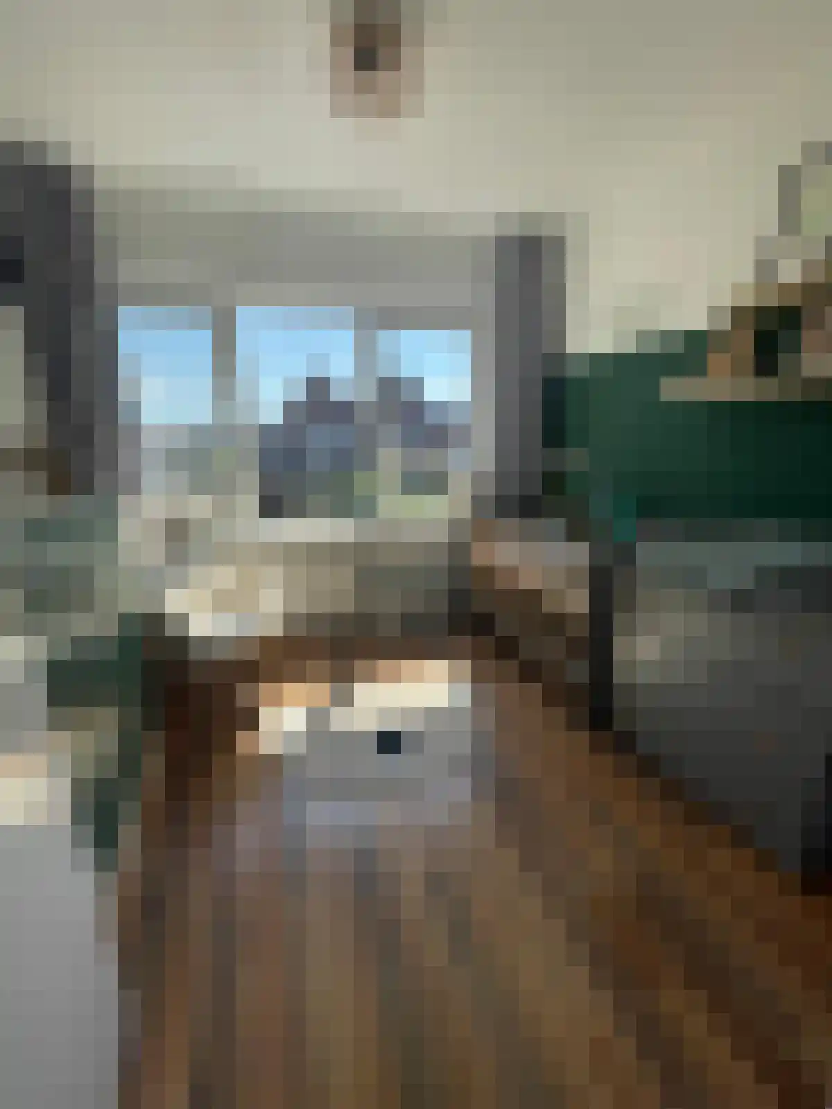 Horionstraat 8 Wessem thumbnail 9