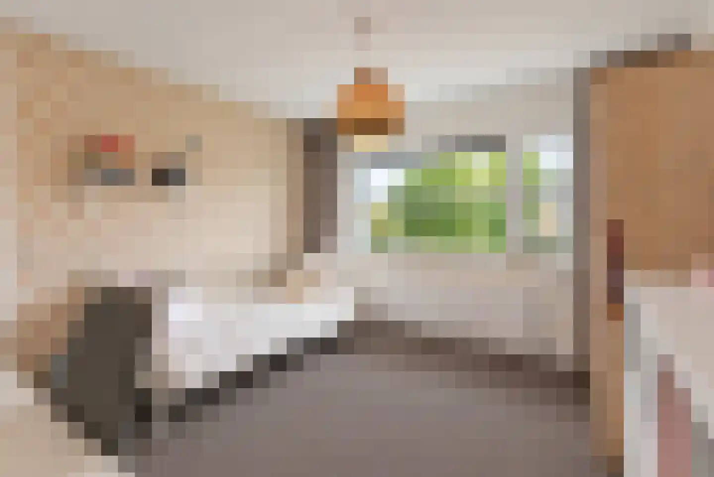 Horizon 11 Baarn thumbnail 23