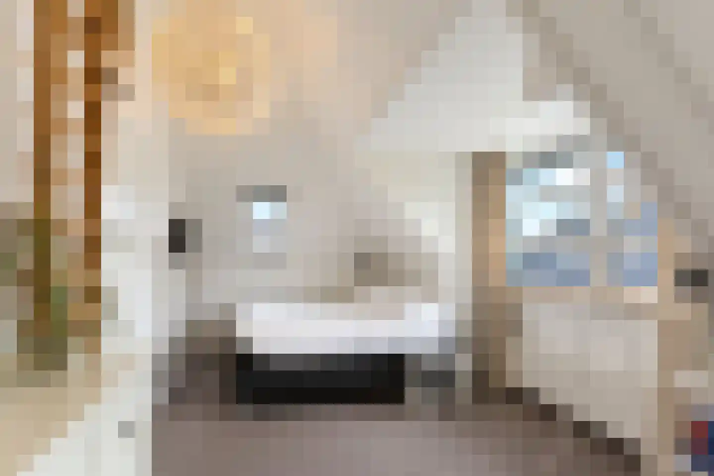 Horizon 11 Baarn thumbnail 35
